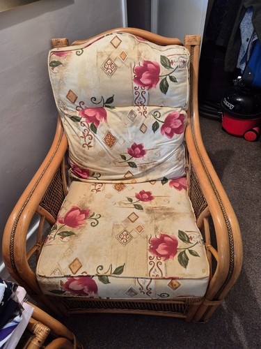 Cane conservatory furniture - cane,